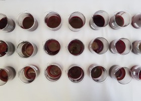 Das Blut "entwickelt" sich nach dem Aderlass