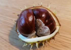 Fasten - wenn man einmal beginnt, hört man nie wieder auf, es gehört zum Jahresrhythmus!